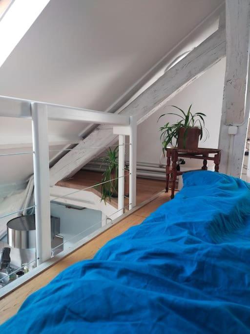 Studio Sous Les Toits Et Mezzanine - Vincennes Exterior foto