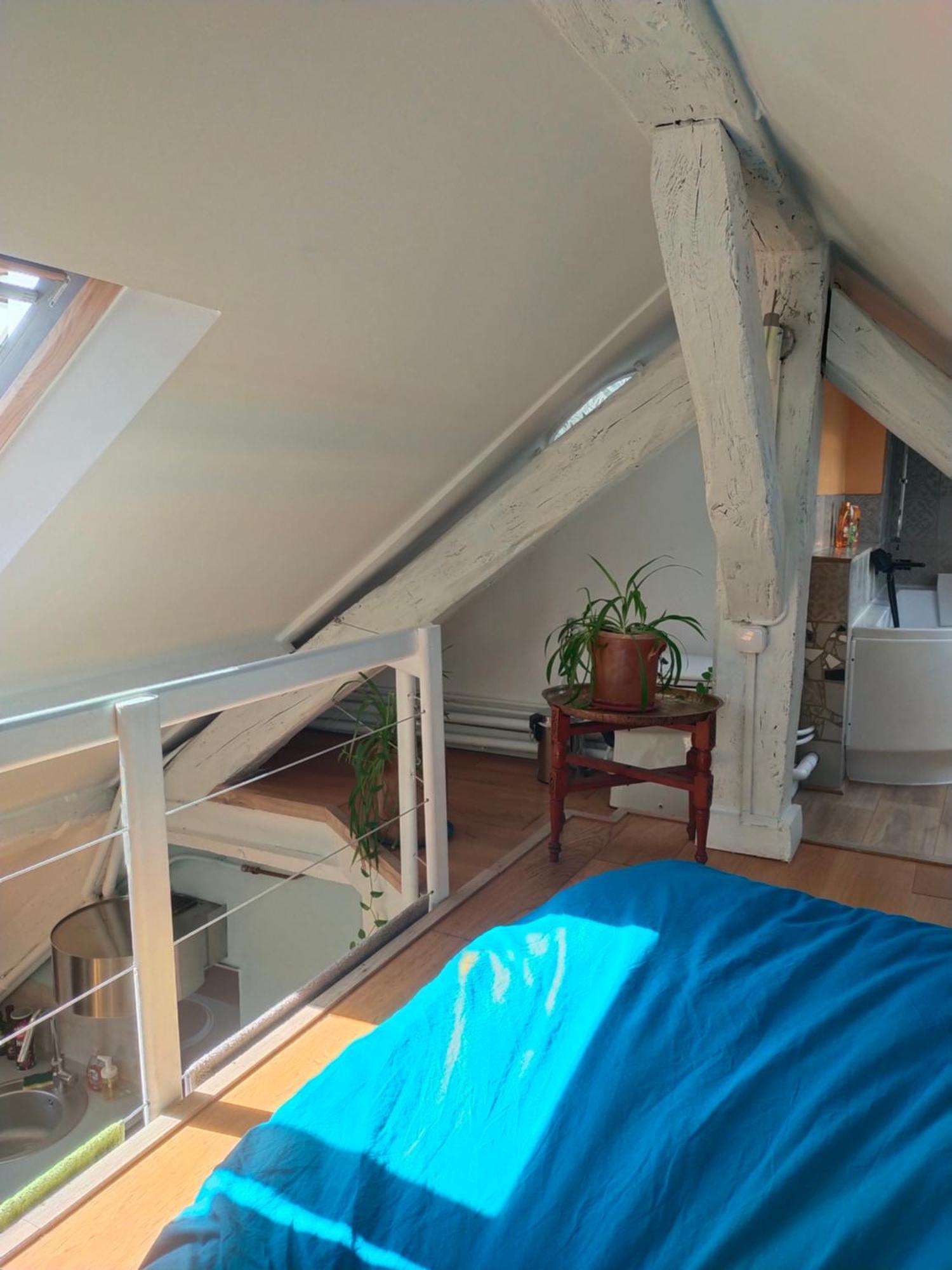Studio Sous Les Toits Et Mezzanine - Vincennes Exterior foto